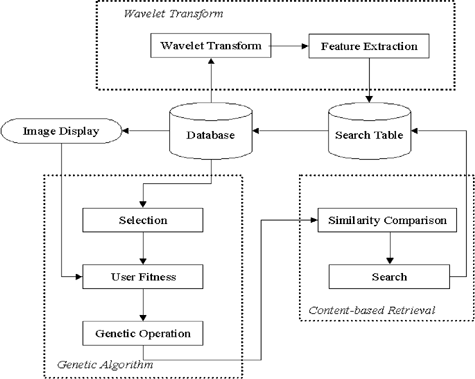 fig. 2: Image retrieval system using IGA